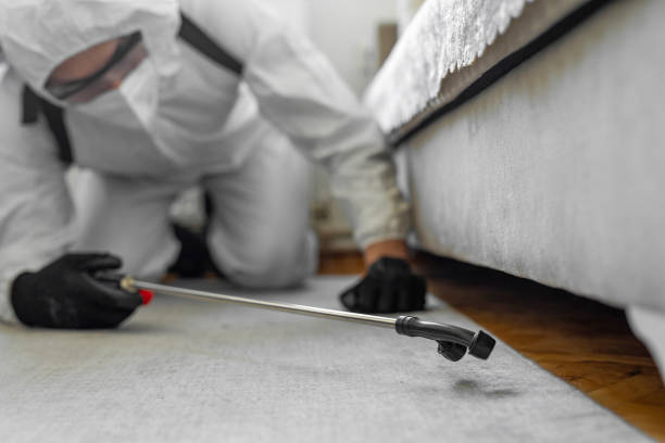 Professional Bed Bug Control technician working in Angustura, NM