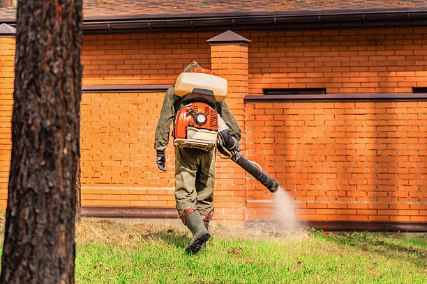 Trusted Bed Bug Control service in Angustura, NM - Nex Pest Control